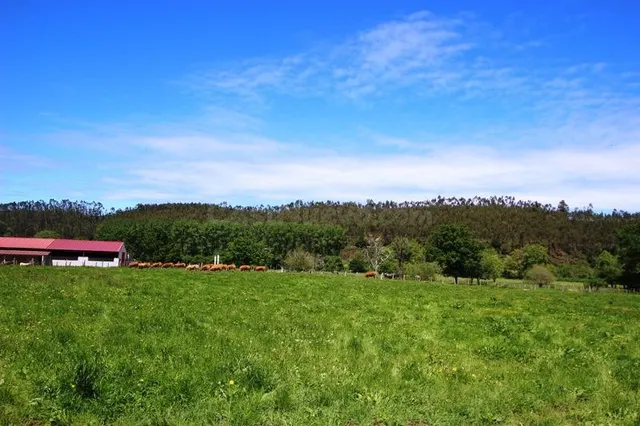 Terreno urbanizable en venta - Villanueva de la peña