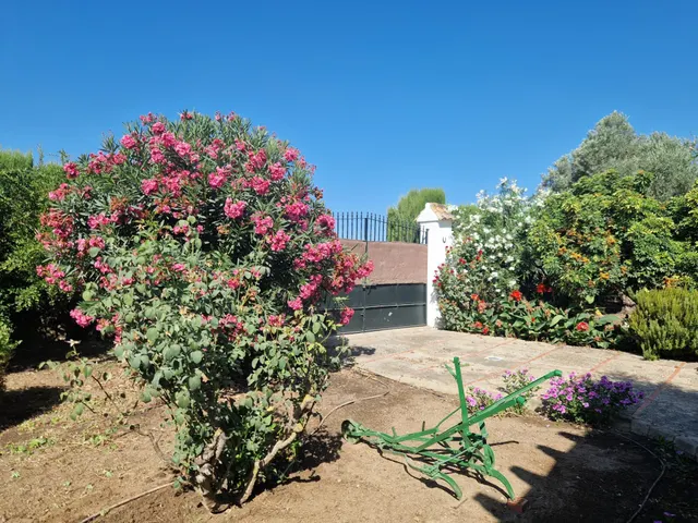 Finca rústica con dos viviendas, piscina y 56.000 m2 de tierras de regadío a 10 minutos de Jerez — 33