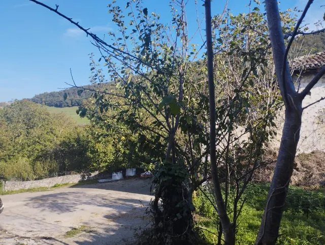 CASA PARA REHABILITAR — 23