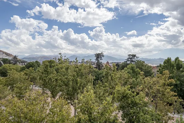 Pisazo en paseo del salón - Granada — 3