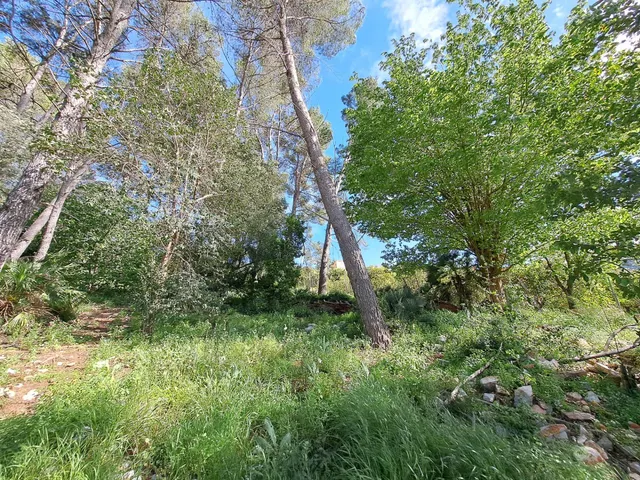 CASA RUSTICA CON TERRENO — 11