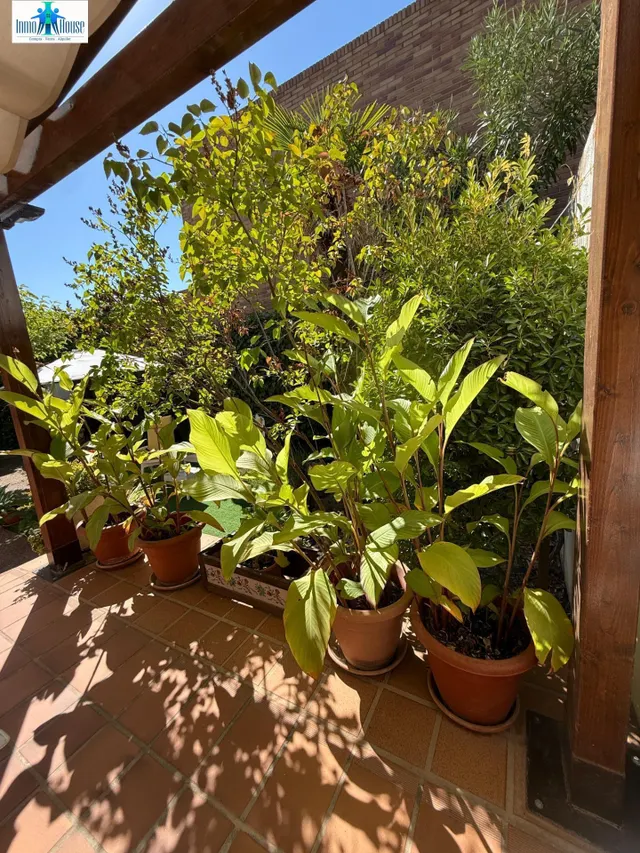 INMOHOUSE VENDE PAREADO — 23