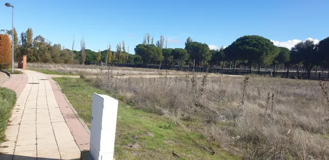 Urbis te ofrece parcelas urbanas en Aldeamayor de San Martín, Valladolid. — 3