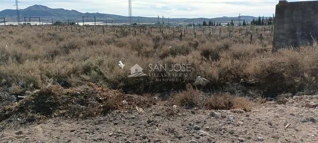 SE VENDE PARCELA EN MONFORTE DEL CID — 3