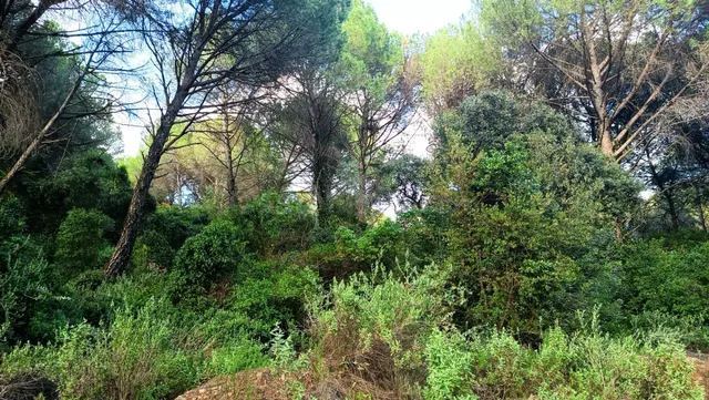 Terreno en Trasierra, en la zona Residencial el Jardinito — 3