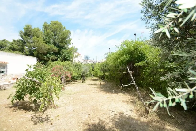 Solar Urbano de 940 m2. en la Murada (Orihuela), con casa de