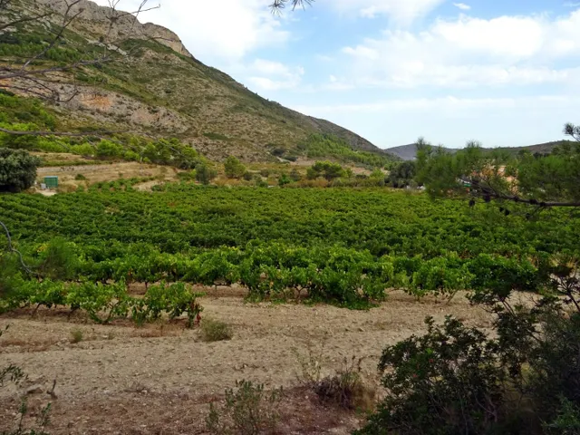 Bodega en venta en Jalon — 9
