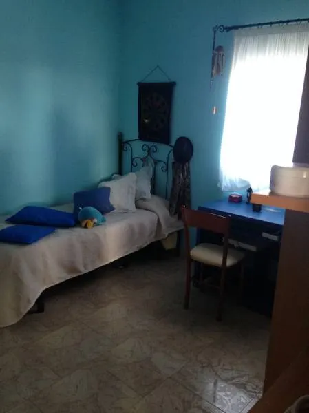 Chalet con terreno plantado — 12