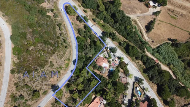 En venta 3 parcelas al principio de la Urbanización Montesso