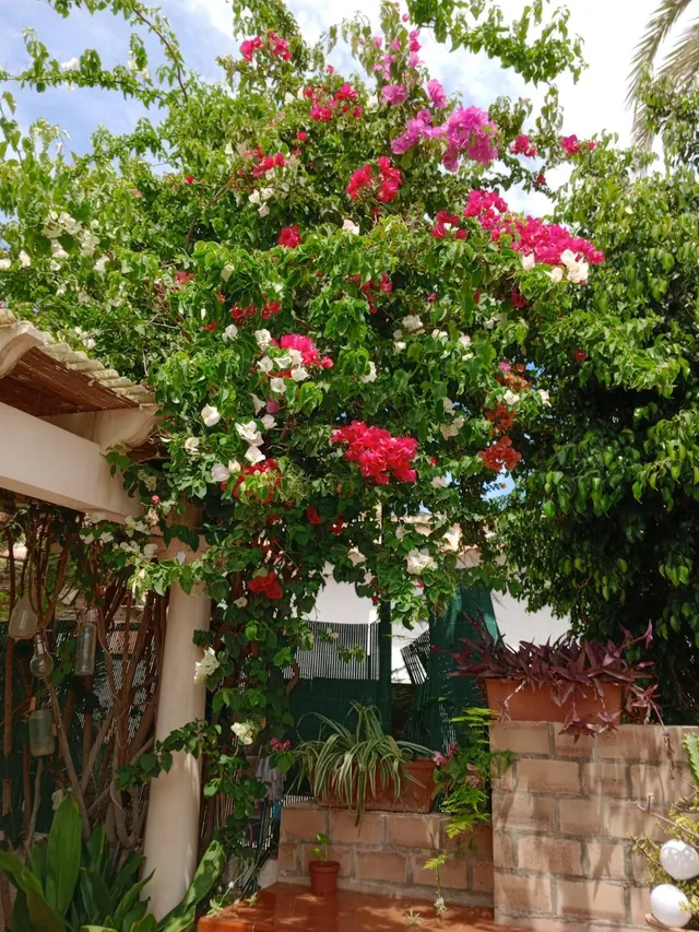 Chalet en Santa Pola del este — 8