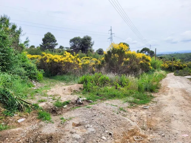 Terreno rústico de 10.735 m2 en Castellbisbal zona Can Nicolau de Dalt. — 18
