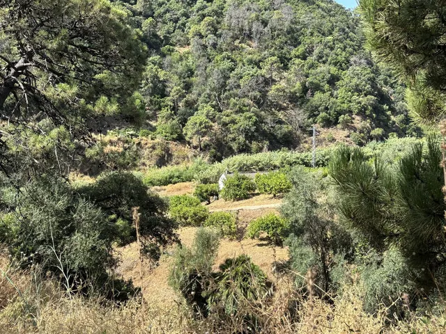 Parcela en venta - Costa Del Sol - foto 5