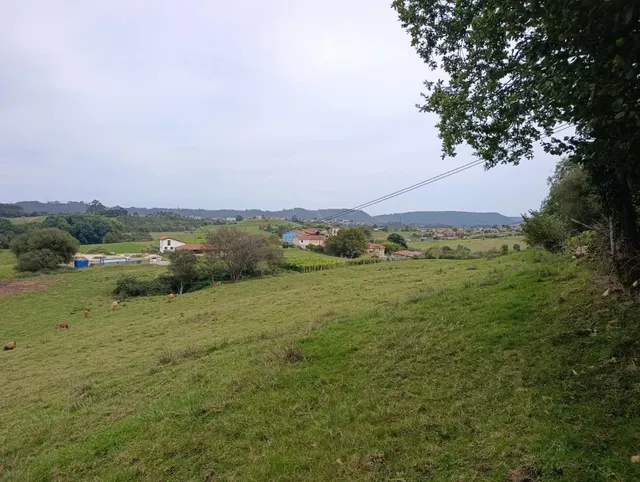 Terreno Rústico en venta - Noriega — 24
