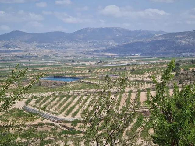 Parcela 1500m² en venta - Ayuntamiento