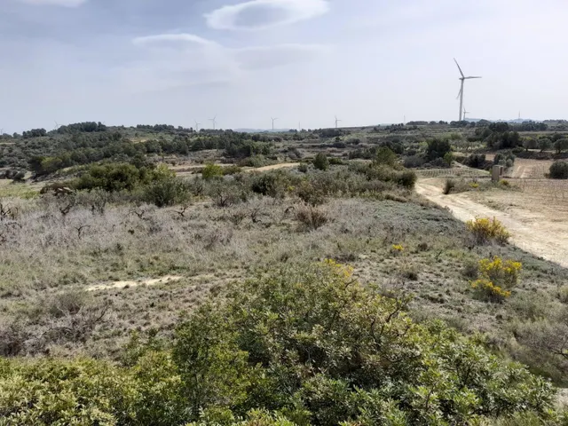 OPORTUNIDAD CASA DE CAMPO CON INMEJORABLES ACABADOS EN FINCA RUSTICA DE BATEA — 46