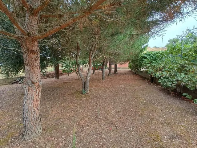 FINCA RUSTICA CON BODEGA - foto 3