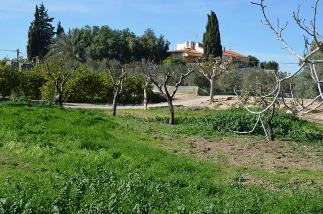 Casa de campo en venta en Valladolises y Lo Jurado - foto 3