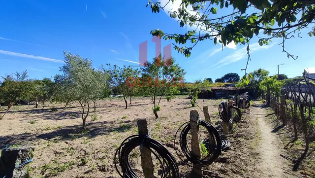FINCA DE MÁS DE TRES MIL METROS CUADRADOS EN SAN CIBRAO DAS VIÑAS. — 11