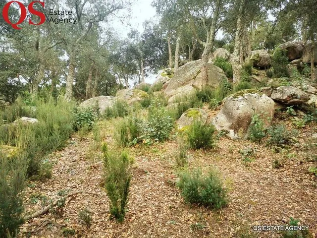 Parcela urbanizable en urbanización Font Bona, Llagostera - foto 2