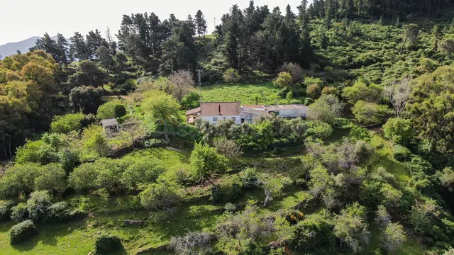 Finca rústica 3 habitaciones 467m² en venta - South of spain - foto 3