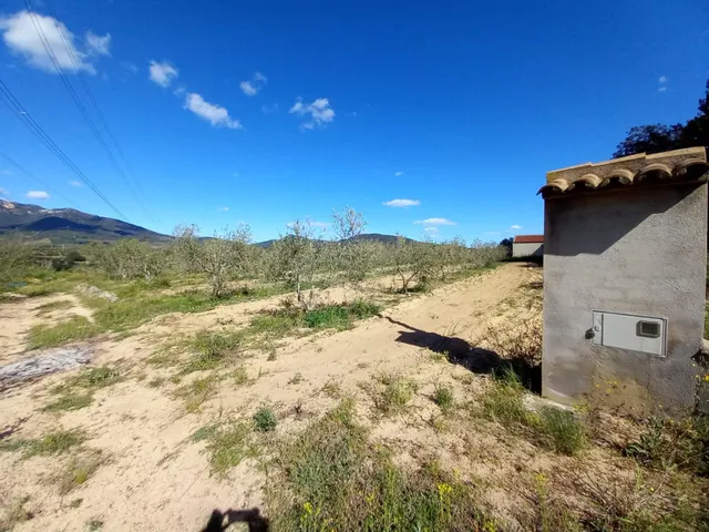 Terreno rural en l'Aleixar — 21