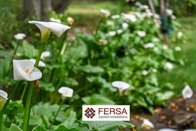 PRECIOSA CASA RURAL EN BENAMAHOMA — 39