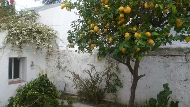 Amplia casa para reformar en el Casco Antiguo de Marbella — 2