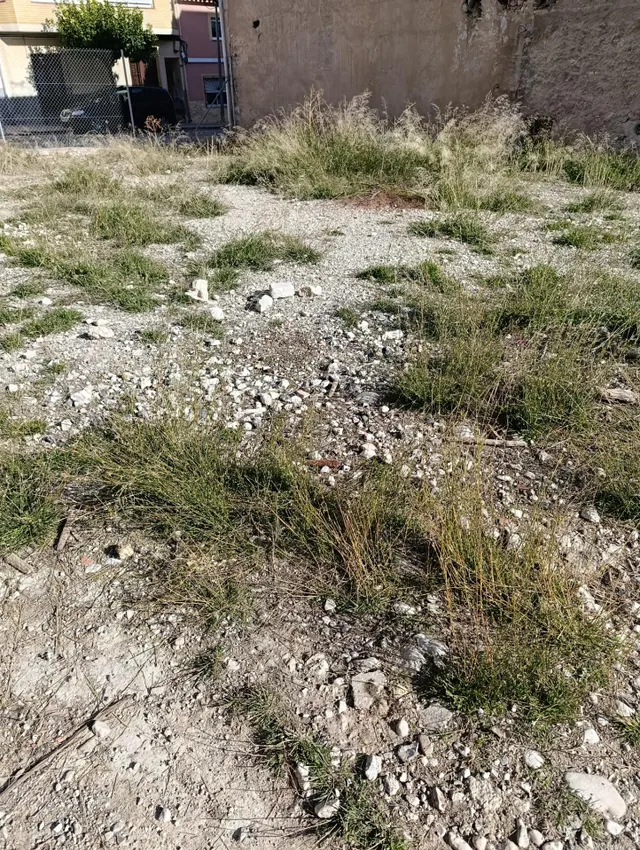 TERRENO UBICADO EN ZONA CENTRICA DE MULA — 18