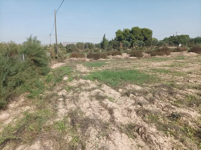 SE VENDE TERRENO RÚSTICO AGRICOLA PARA CONSTRUIR NUEVO CHALET — 14