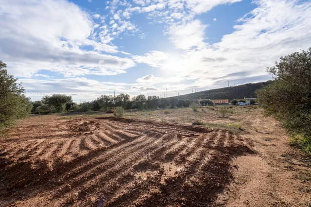 Cortijo zona El 21 — 38