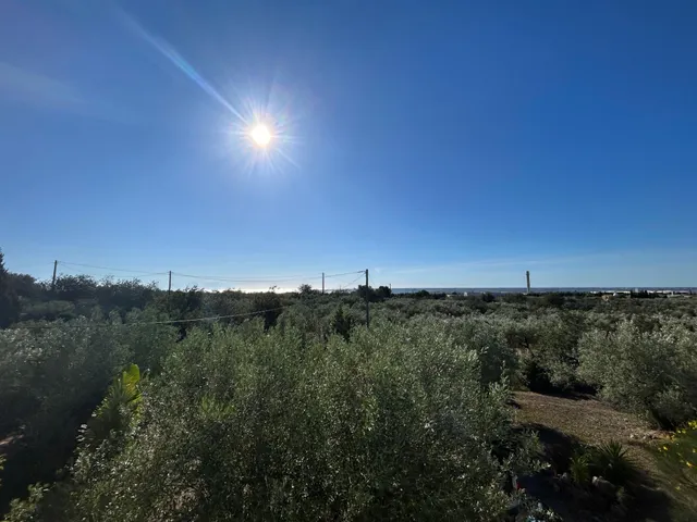 Casa del Relojero — 17