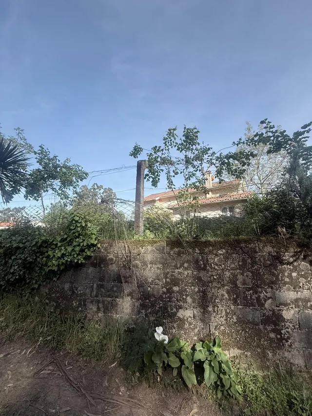 Terreno Rústico en venta - Arca e Ponte de Lima - foto 4