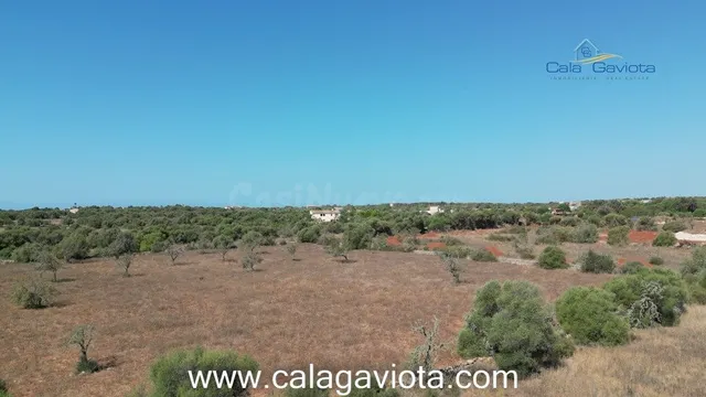 Terreno de 17.000 m2 con bonitas vistas - foto 5