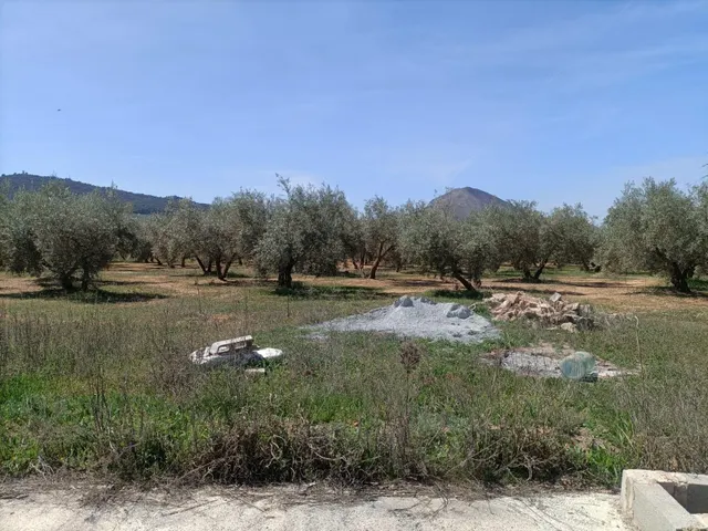 Finca rústica en venta — 11