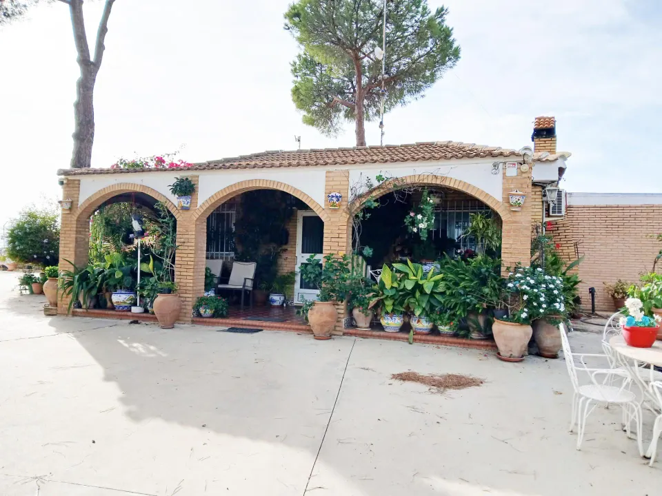 FINCA CON VIVIENDA EN BONARES (HUELVA)