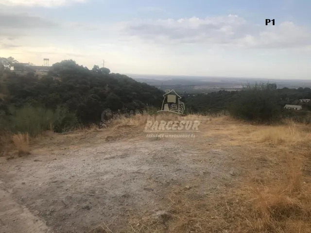 CUEVAS BAJAS- Parcelas de 2.000 m con pozo comunitario y pun