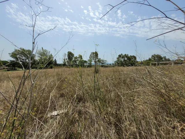 Terreno edificable con proyecto y permiso de obra vigente en Sant Esteve Sesrovires — 2