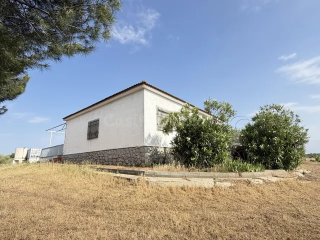 FINCA CON CASA EN TERMINO LA HABA - foto 2