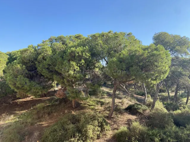Apartamentos de lujo de nueva construcción cerca de la playa en Guardamar del Segura — 2