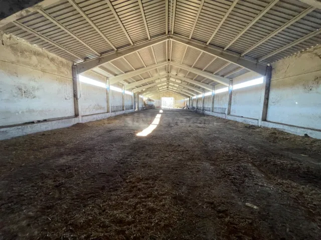 NAVE PARA DIVERSAS UTILIDADES EN PRIEGO (CUENCA) - foto 4