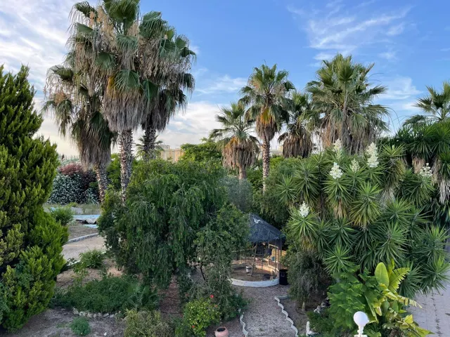 Exclusiva villa en Oliva Nova, Costa Blanca — 31