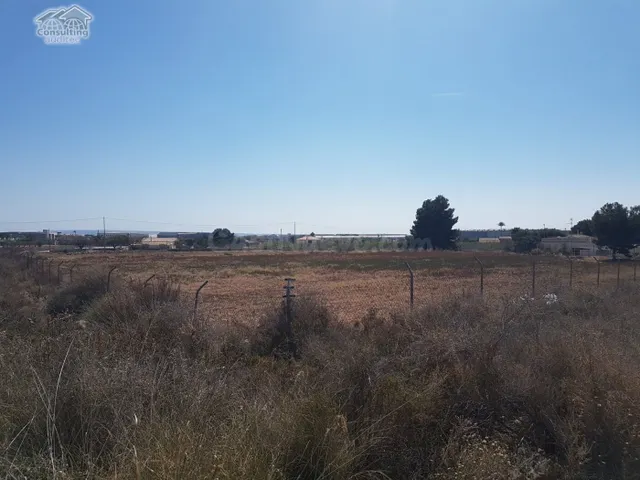 Terreno 10.000 m2 frente Parque Industrial Elche Torrellano - foto 4
