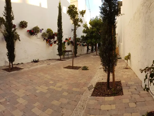 Oportunidad de inversión dentro del casco antiguo — 6