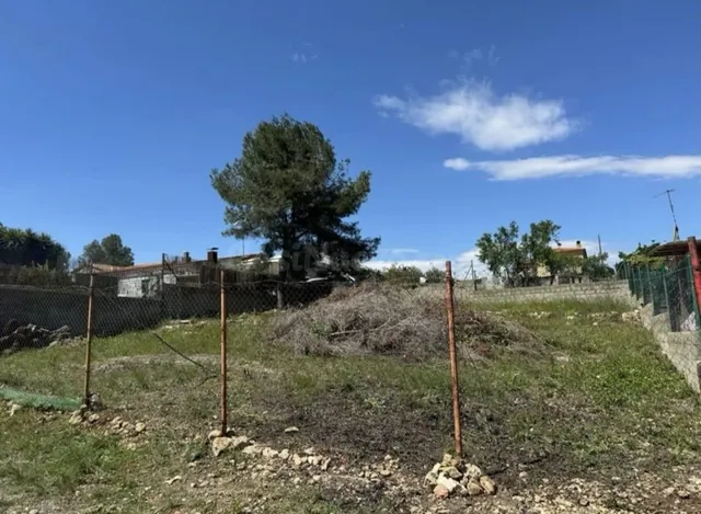Parcela en Urb. Lalzineta (Montferri) - foto 3