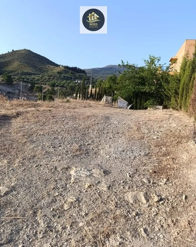 PARCELA EN LOS VILLARES - foto 3