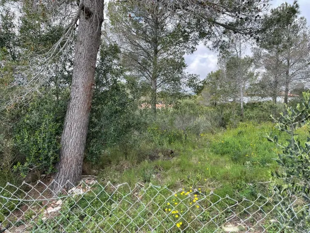 TERRENO URBANO MONT-ROIG DEL CAMP (CASALOT EL) (TARRAGONA) - foto 3