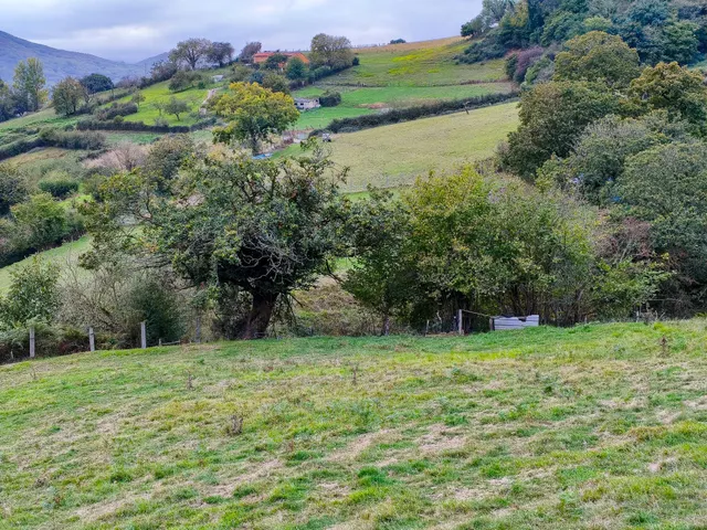 Finca edificable de 2.065 m2 en Olloniego, con vistas a la montaña — 10