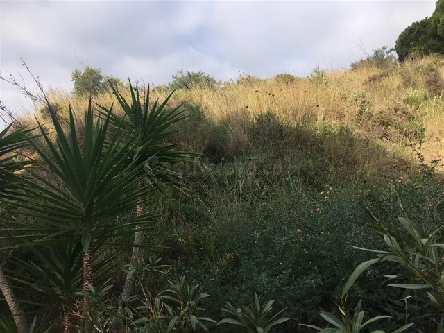 Parcela en venta - Riviera del sol - foto 3