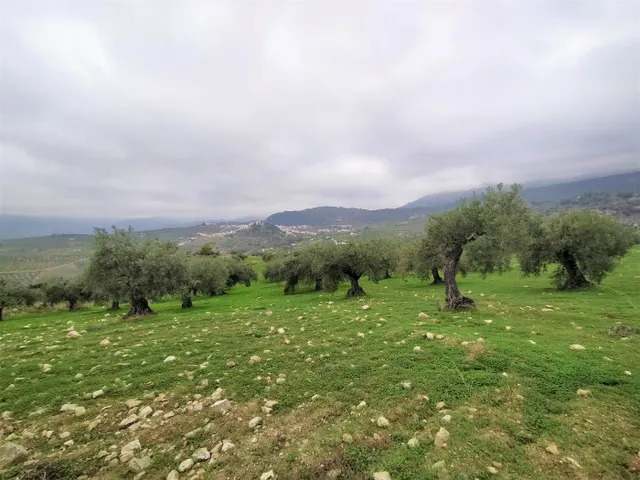 Espectacular finca en la localidad de Alozaina — 6