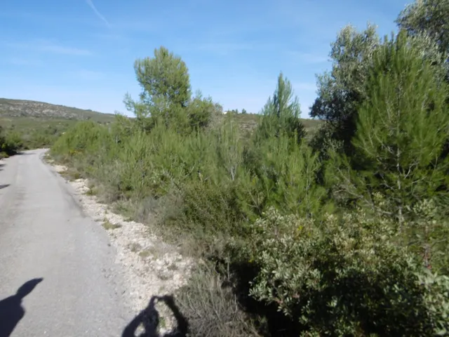 MASIA PARA REFORMAR  CON ALMACENES EN UNA FINCA DE 10 HECTÁREAS — 40